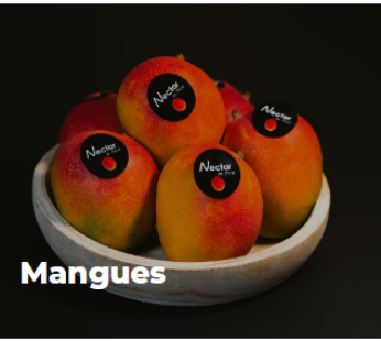 MANGUE | KENT | 12 | 6KG | NECTAR | CRT