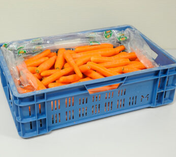 CAROTTES 12 KG 25/35 MM B3 VRAC