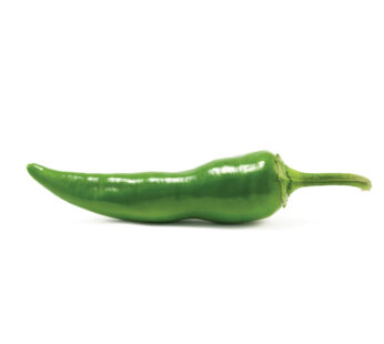 Piment Groen Marokko